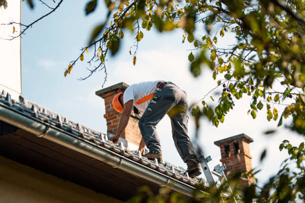 Best New Roof Installation  in La Harpe, IL