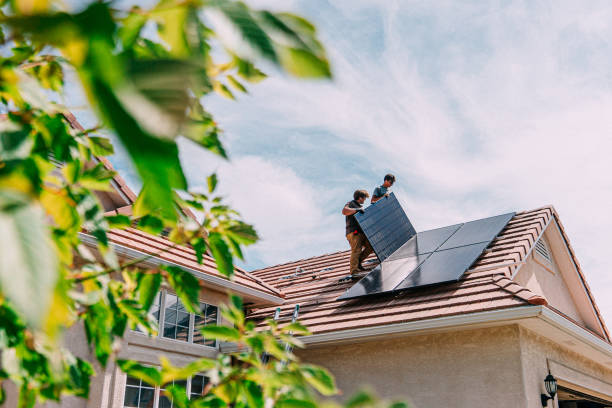 Best Roof Gutter Cleaning  in La Harpe, IL