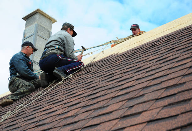 Best Residential Roofing Contractor  in La Harpe, IL